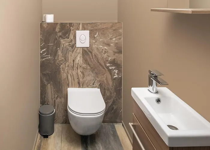 Arthomes Τιμισοάρα